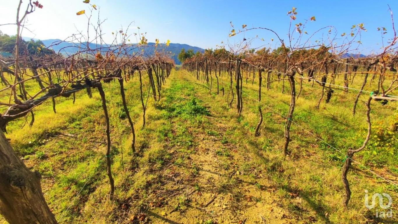 Podere Mona Pomarance Exteriör bild